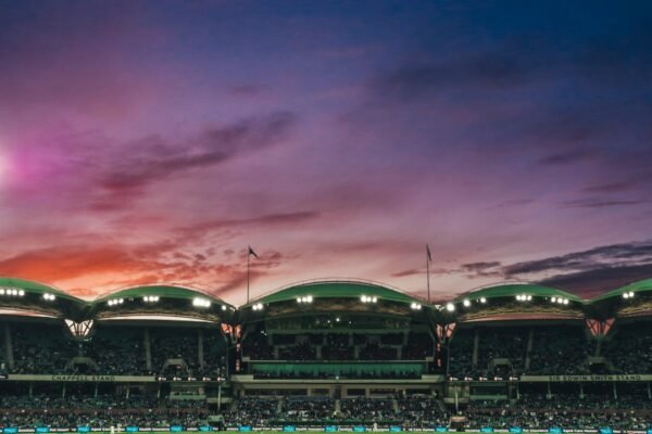 king of cricket