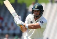 Josh Cobb playing cricket in professional attire