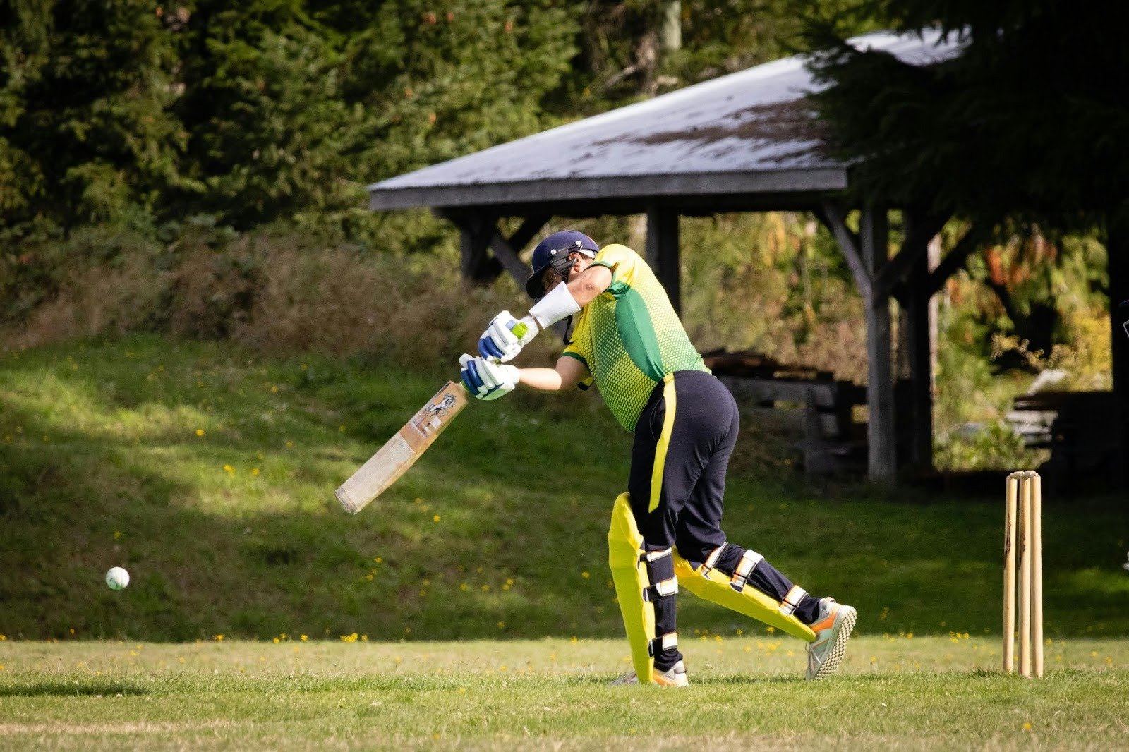 Master the Game: A Guide to the Cricket Best Shots